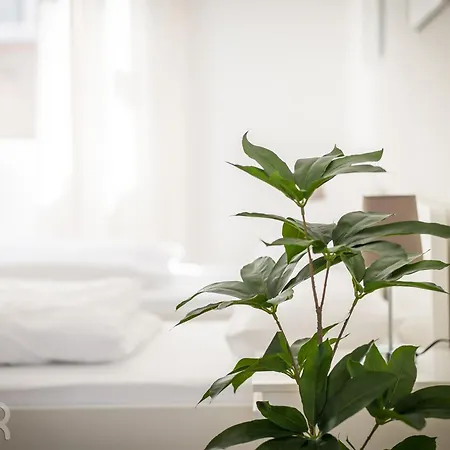 Voll Ausgestattetes, Moebliertes Mit Einzelbetten - Inklusive Kueche Und Wlan Appartamento Wiesbaden