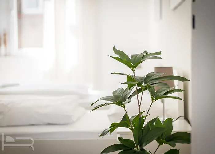 Voll Ausgestattetes, Moebliertes Mit Einzelbetten - Inklusive Kueche Und Wlan Appartamento Wiesbaden